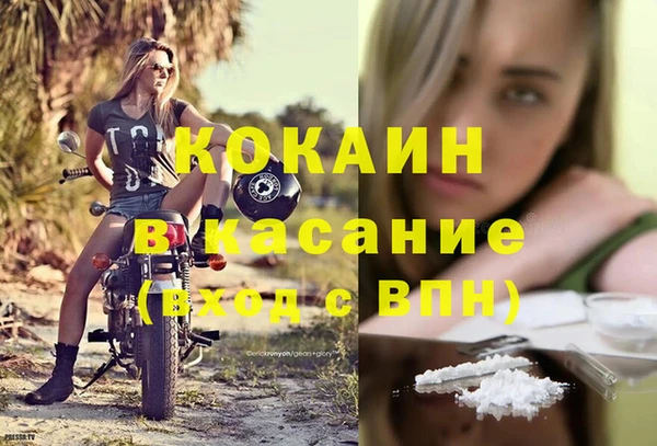 прущие грибы Новокубанск