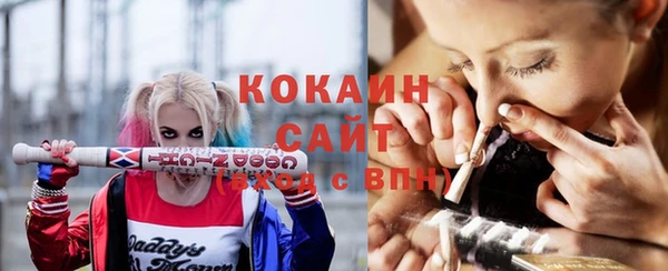 дживик Новодвинск