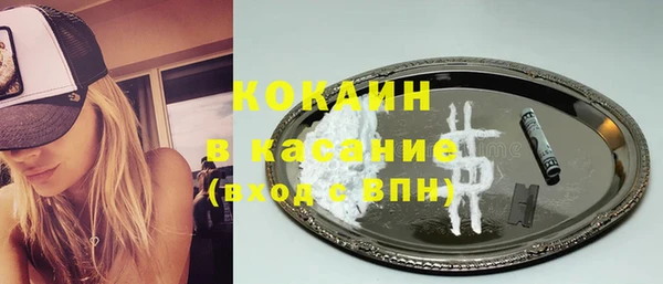 прущие грибы Новокубанск