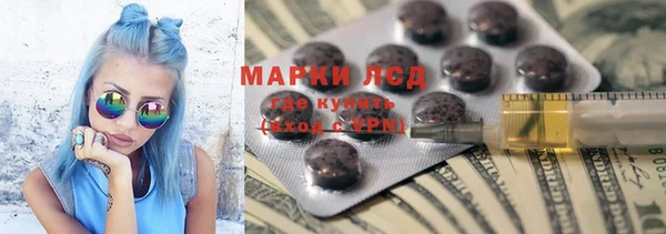 прущие грибы Новокубанск