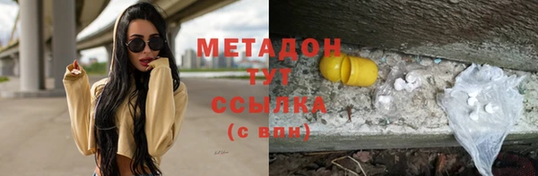 прущие грибы Новокубанск