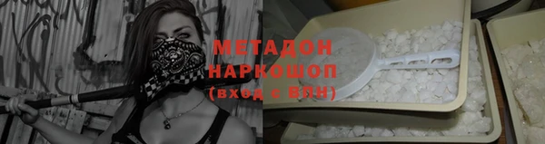 прущие грибы Новокубанск