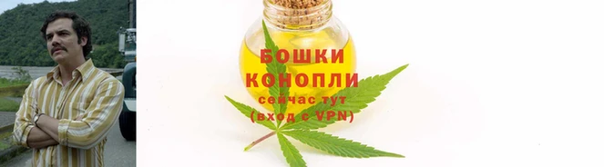 дживик Новодвинск
