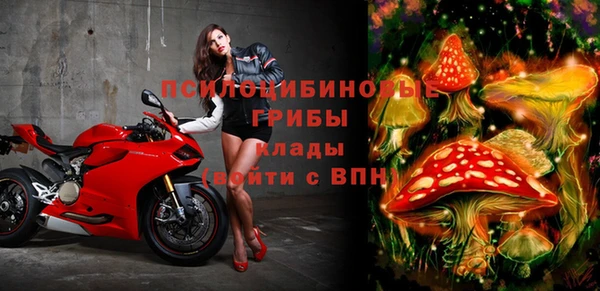 прущие грибы Новокубанск