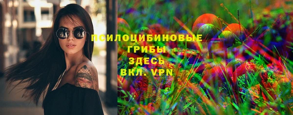 jwh Новозыбков