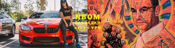 прущие грибы Новокубанск