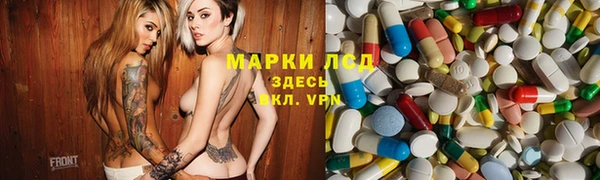 дживик Новодвинск