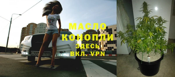дживик Новодвинск