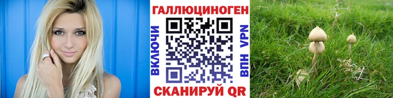 Псилоцибиновые грибы Psilocybe Новотитаровская