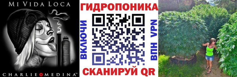 Бошки Шишки индика  купить   MEGA как войти  Новотитаровская 